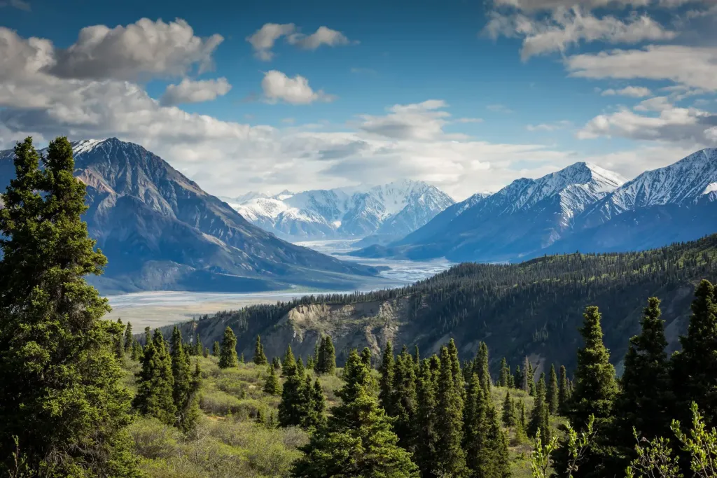 Pine forest and a glacial valley below snow-capped mountains