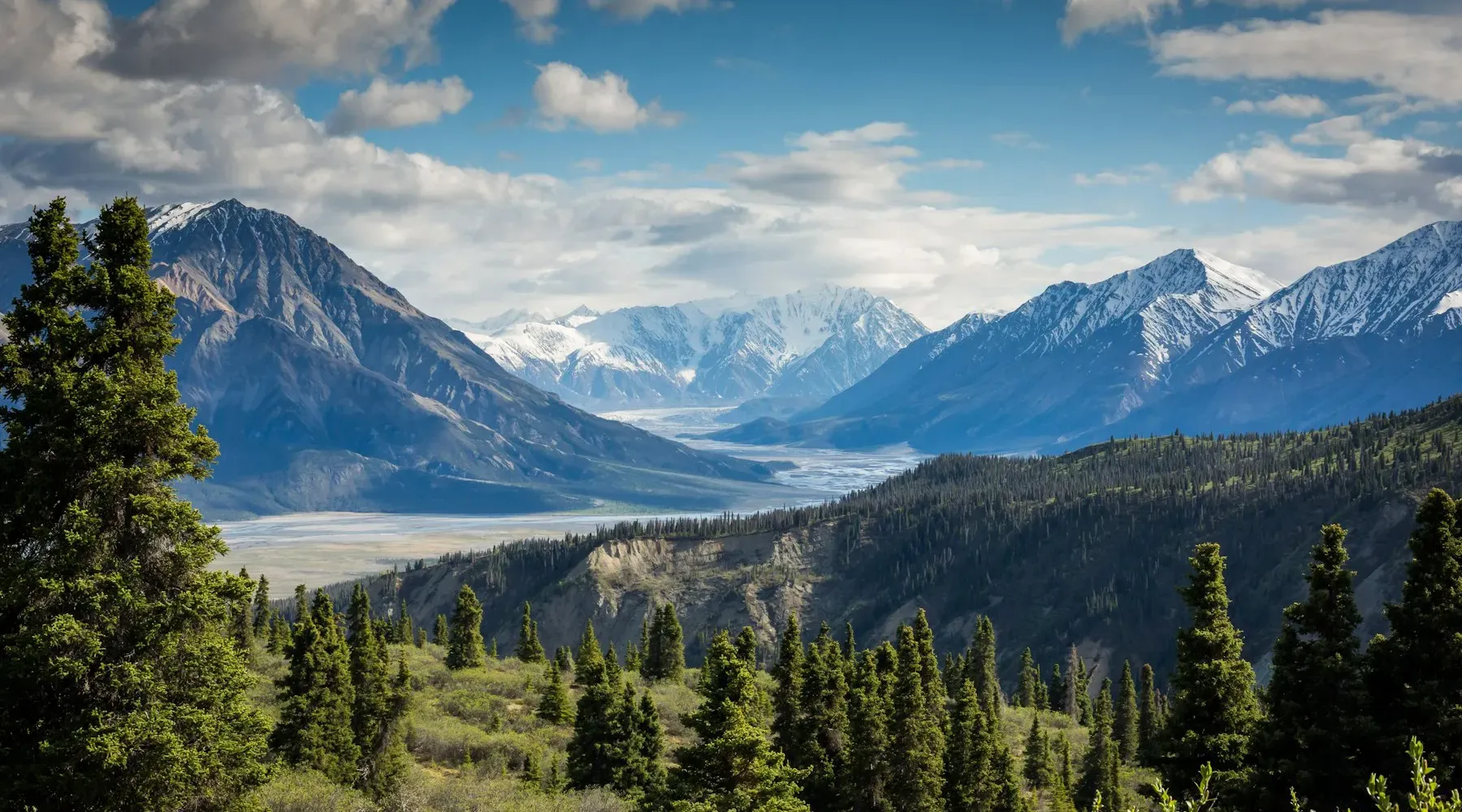 Pine forest and a glacial valley below snow-capped mountains
