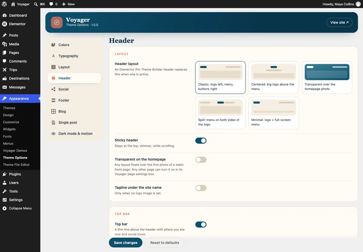 Theme Options → Header